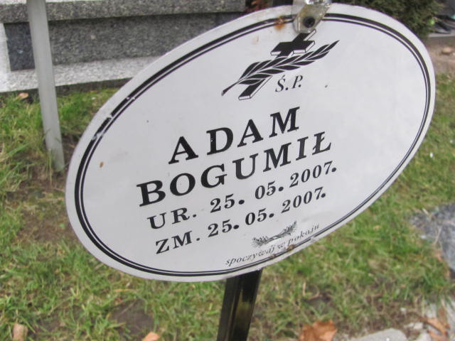 Adam Bogumił 2007 Kolno - Grobonet - Wyszukiwarka osób pochowanych
