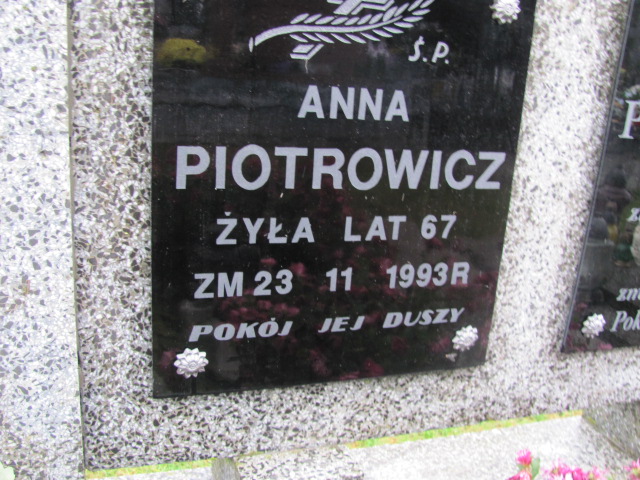 Anna Piotrowicz 1906 Kolno - Grobonet - Wyszukiwarka osób pochowanych